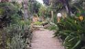Exotic Garden Pallanca Bordighera